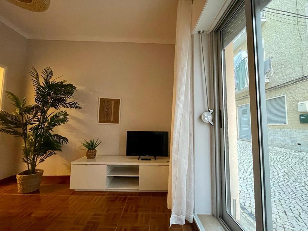 Apartament Lugar Dos Avos - R/C Nazaré Zewnętrze zdjęcie